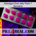 Kamagra Oral Jelly 1 Week Pack 09